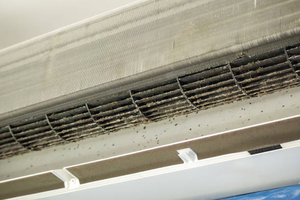 Best Air Quality Test  in Baird, TX